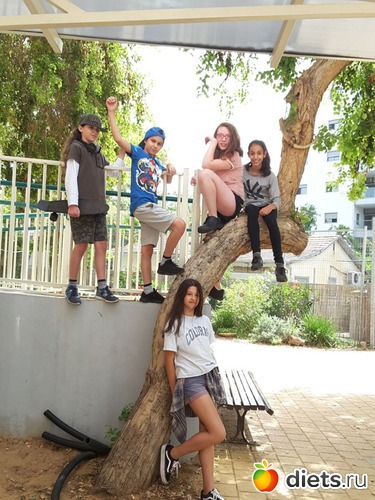 117 ����: ������ 2018