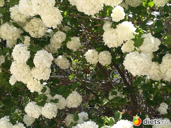 6 ����: viajes primavera