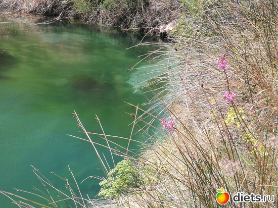 14 ����: viajes primavera