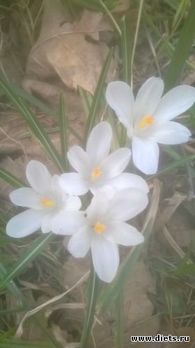 6 ����: ��� �����