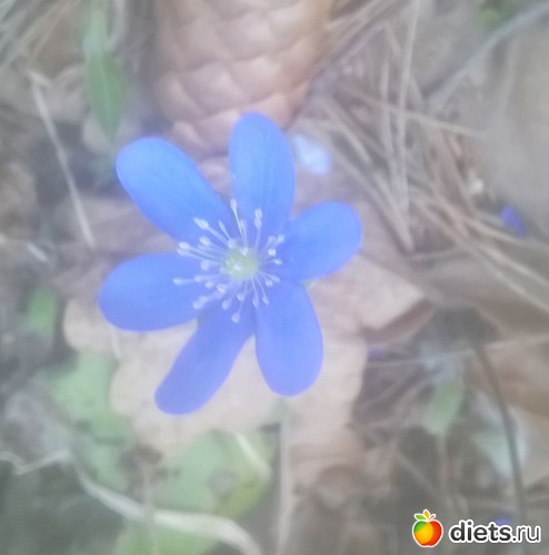 7 ����: ��� �����