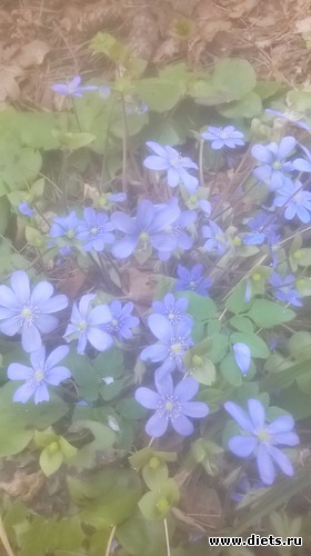 8 ����: ��� �����