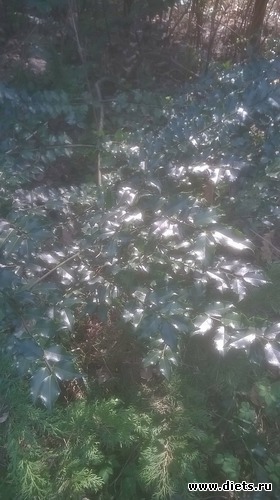 9 ����: ��� �����