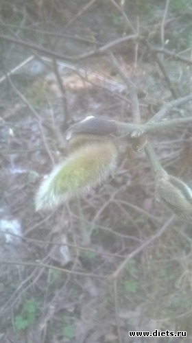 10 ����: ��� �����