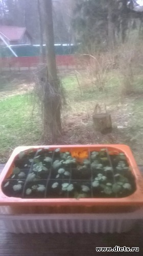 11 ����: ��� �����