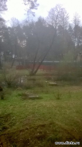 12 ����: ��� �����