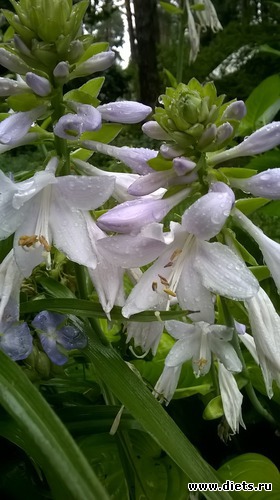 3 ����: ��� �����