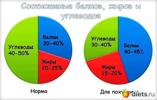 1 ����: ����������� ���