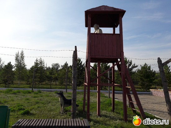 28 фото: АЛЖИР мемориальный комплекс