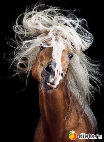 2 ����: ��������...