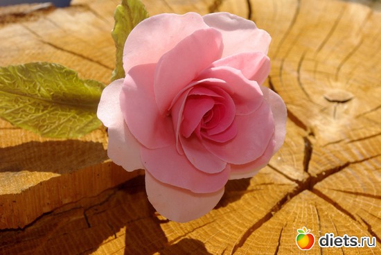 20 ����: �������� � ��������� ����������