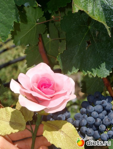 21 ����: �������� � ��������� ����������