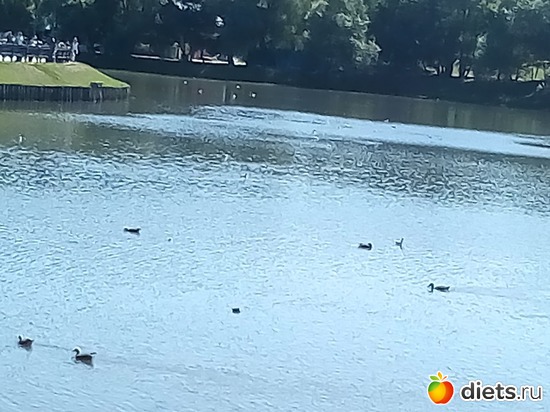 1 ����: �������� 11-12.08.2018