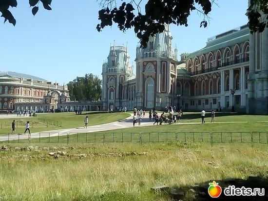 9 фото: Царицыно 11-12.08.2018