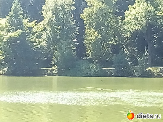 13 ����: �������� 11-12.08.2018