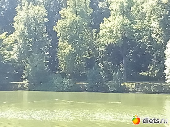 14 ����: �������� 11-12.08.2018