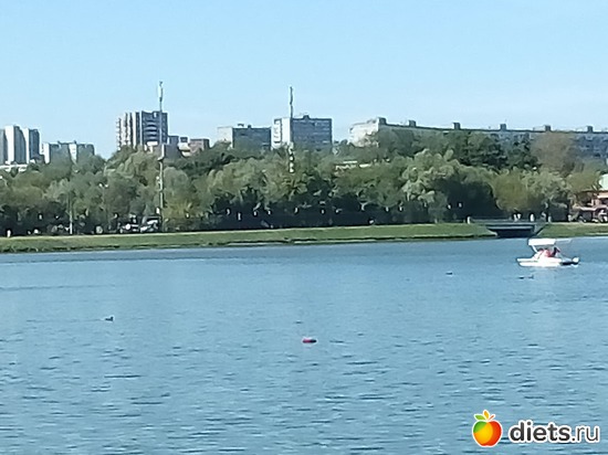 15 ����: �������� 11-12.08.2018