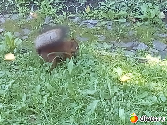 20 ����: �������� 11-12.08.2018