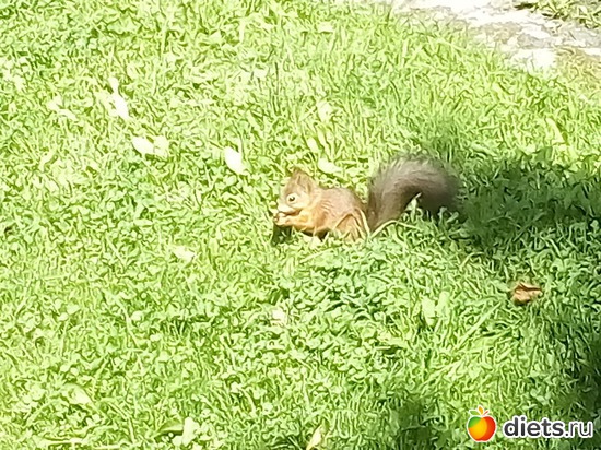 21 ����: �������� 11-12.08.2018