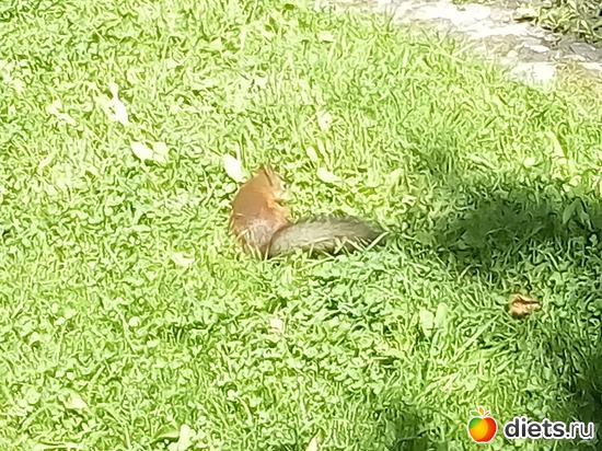 22 ����: �������� 11-12.08.2018