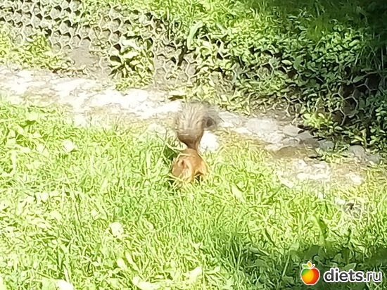 23 ����: �������� 11-12.08.2018