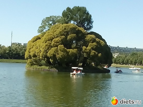 26 ����: �������� 11-12.08.2018