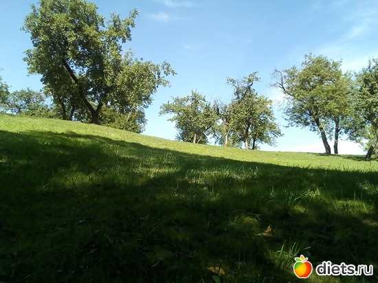 33 ����: �������� 11-12.08.2018