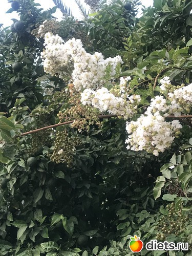 63 ����: ������� 2018