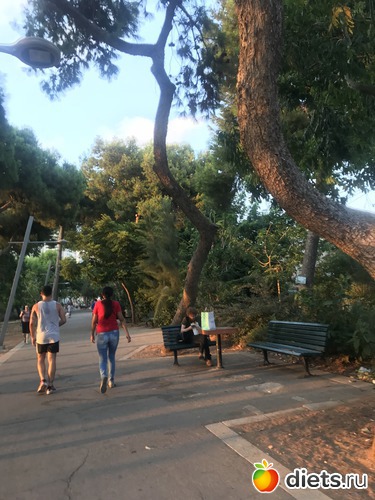 65 ����: ������� 2018