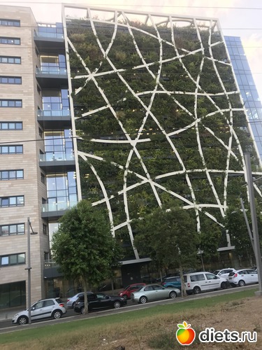 67 ����: ������� 2018