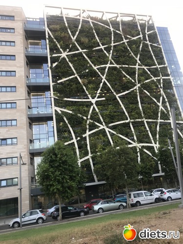 68 ����: ������� 2018