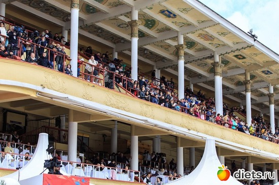 Ипподром 1 авг 2018, альбом: То, что я люблю