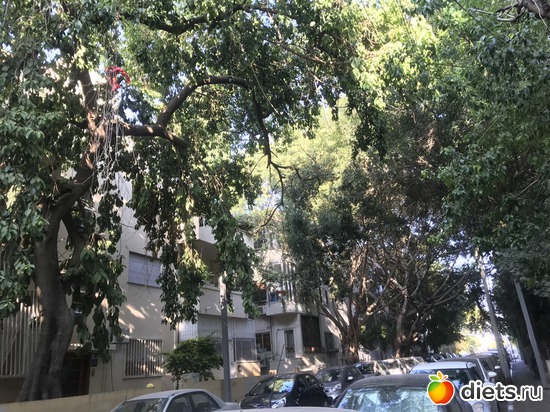 72 ����: ������� 2018