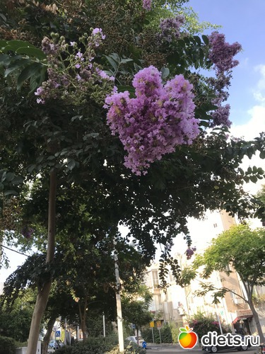 121 ����: ������� 2018