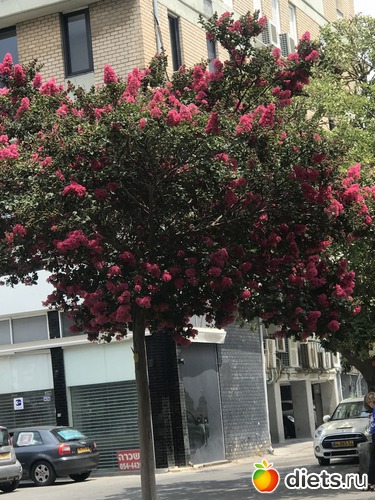 162 ����: ������� 2018