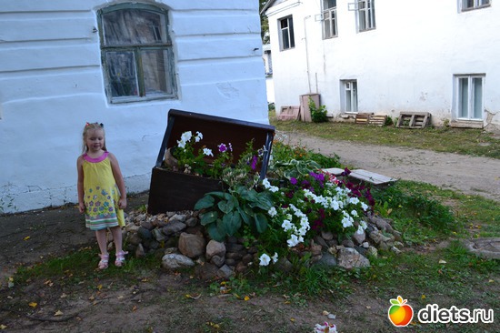 33 ����: �����-�������_18.08.2018