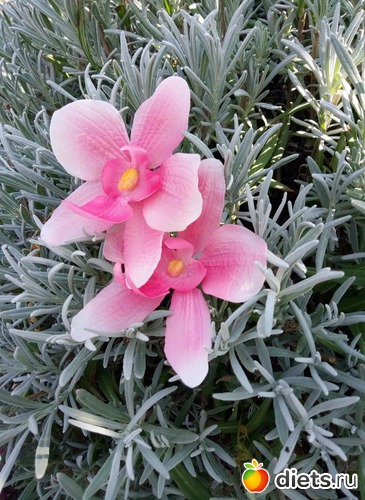 22 ����: �������� � ��������� ����������