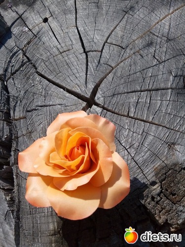 25 ����: �������� � ��������� ����������