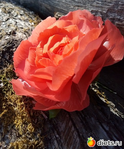 27 ����: �������� � ��������� ����������