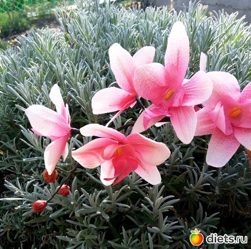 29 ����: �������� � ��������� ����������