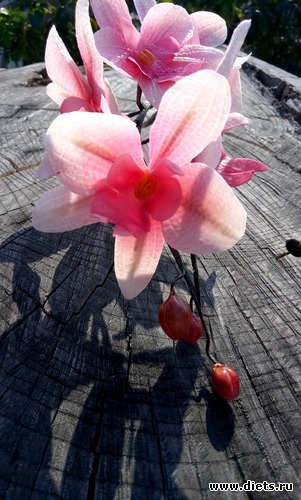 31 ����: �������� � ��������� ����������