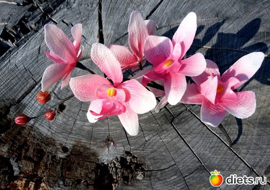 32 ����: �������� � ��������� ����������