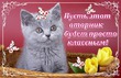 34/90 белковый