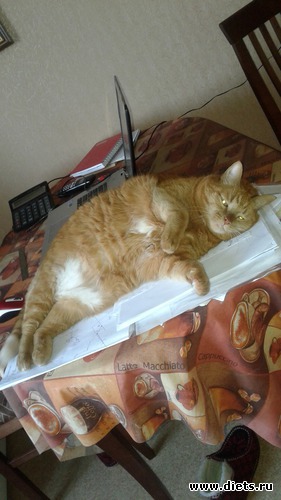 3 ����: ��� ����� �������