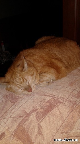 5 ����: ��� ����� �������