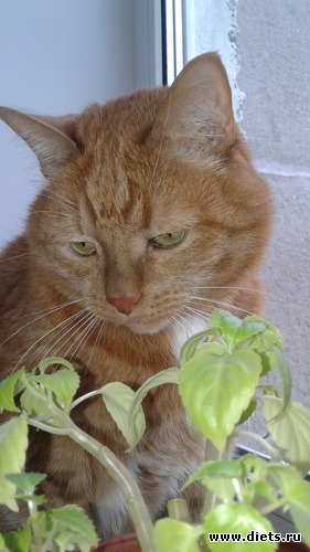 6 ����: ��� ����� �������