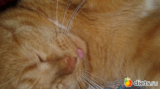 7 ����: ��� ����� �������