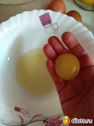 231 ����: ��������