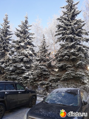 5 ����: 18 ������� 2018.������,�����-16