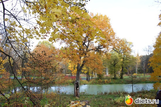 5 фото: фотоимпресионизм